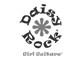 Occasions et Stock B Daisy Rock